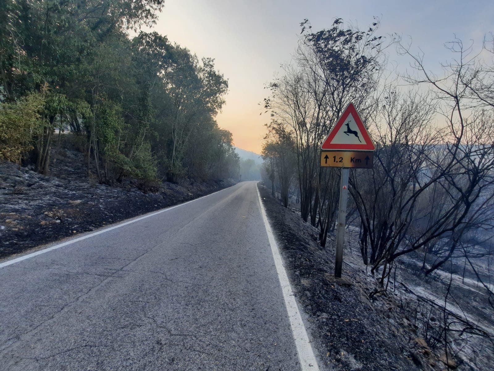 Copertina per Prendono vita le iniziative del progetto 'Il Carso siamo noi'